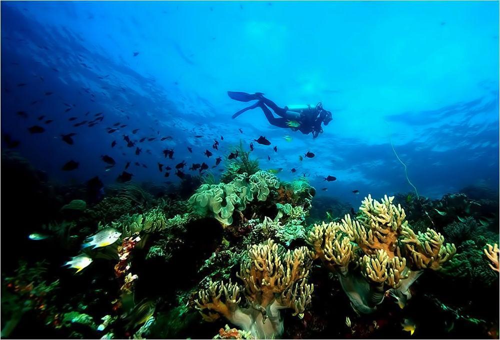 Wakatobi Patuno Diving And Beach Resort By Sahid Wanci Exterior foto